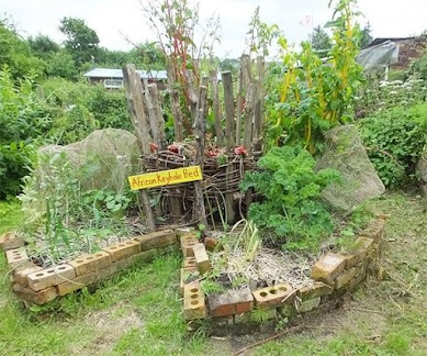 "Self Sufficient Backyard Book: for beginners"